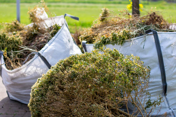 Best Professional Junk Removal  in Temperance, MI