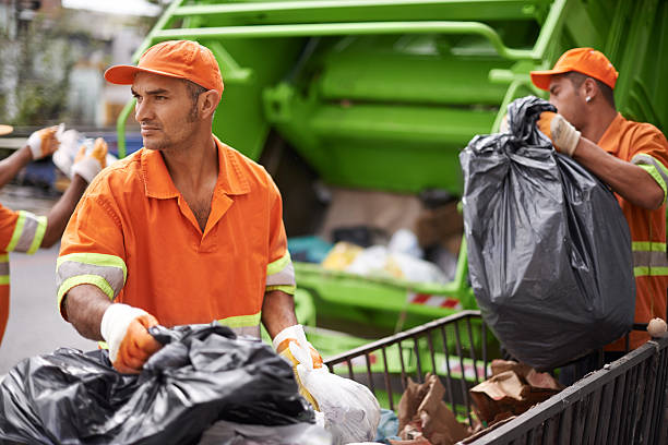 Best Affordable Junk Removal Services  in Temperance, MI