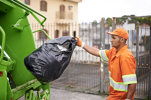 Best Junk Removal Near Me  in Temperance, MI